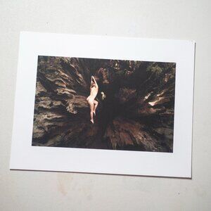 8.5 x 11 inch nude fine art photo print - nude figure, Redwoods, California